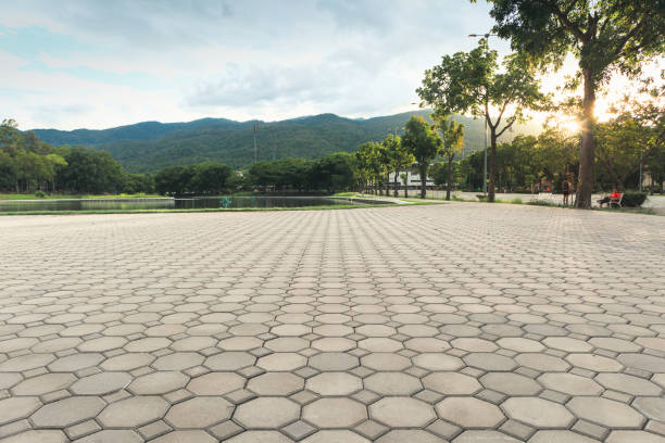 Best Driveway Repair Near Me  in Iowa Falls, IA